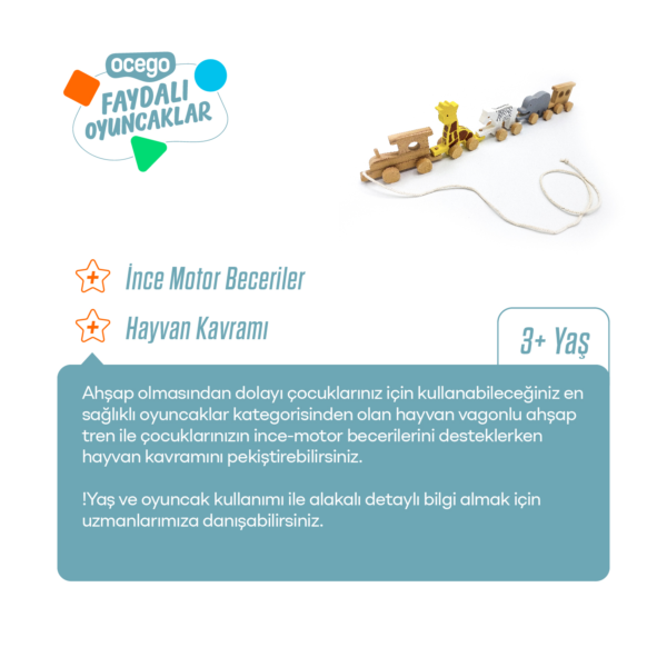 AHŞAP SİRK HAYVANLARI TRENİ